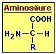 Die chemische Strukur einer Aminosure ist immer gleich.